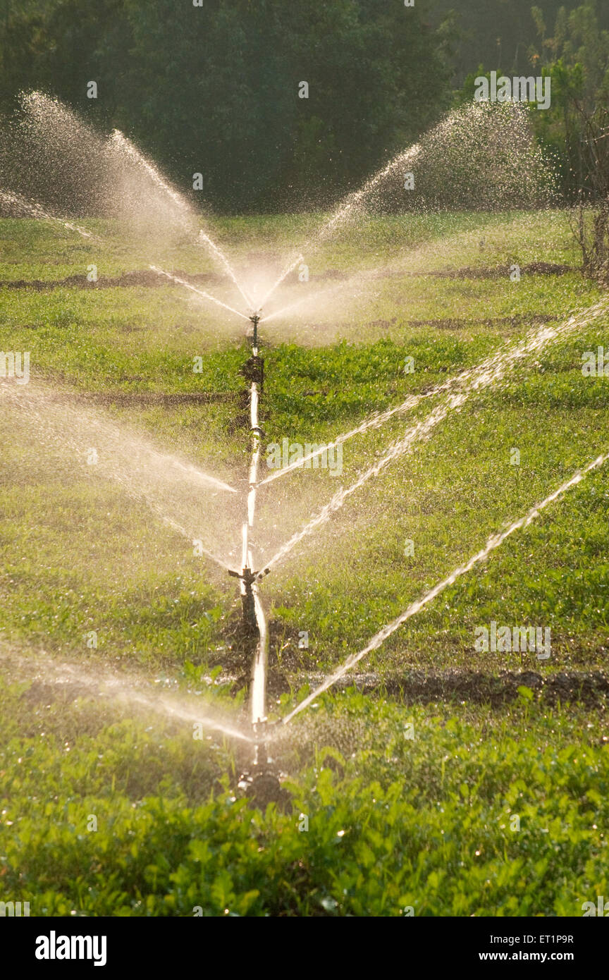 Sprinklers are used for irrigating in farms Stock Photo Alamy