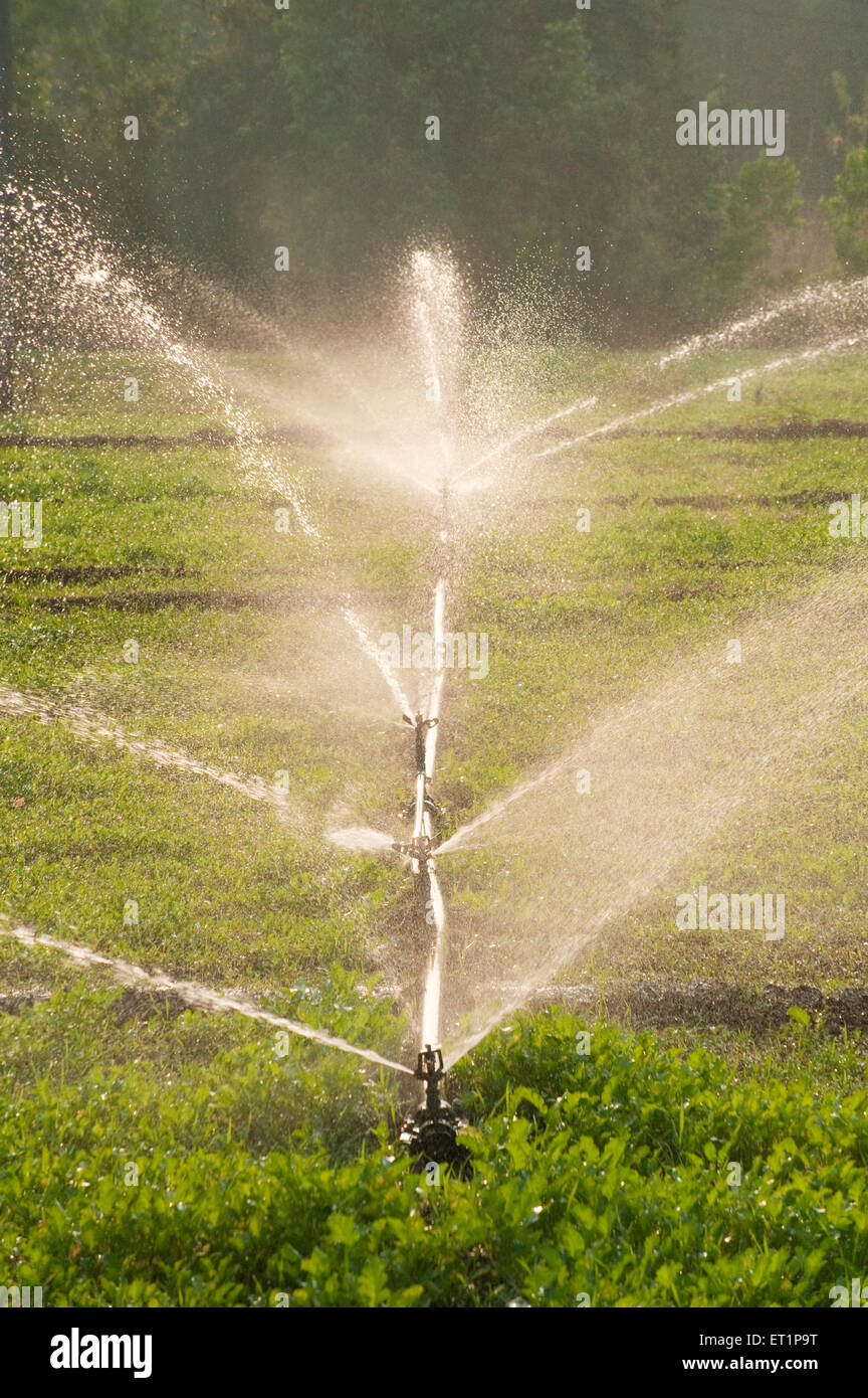 sprinklers, irrigation sprinklers, water sprinklers Stock Photo Alamy