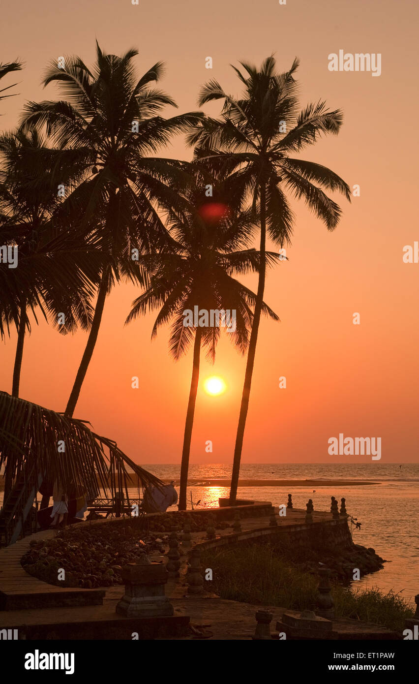 Palm trees sunset ; Veli Tourist Village ; Trivandrum ; Thiruvananthapuram ; Kerala ; India ; Asia Stock Photo