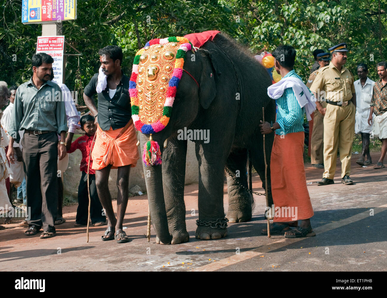 Caparisoned decorated elephant and mahout ; Kerala ; India ; Asia Stock Photo