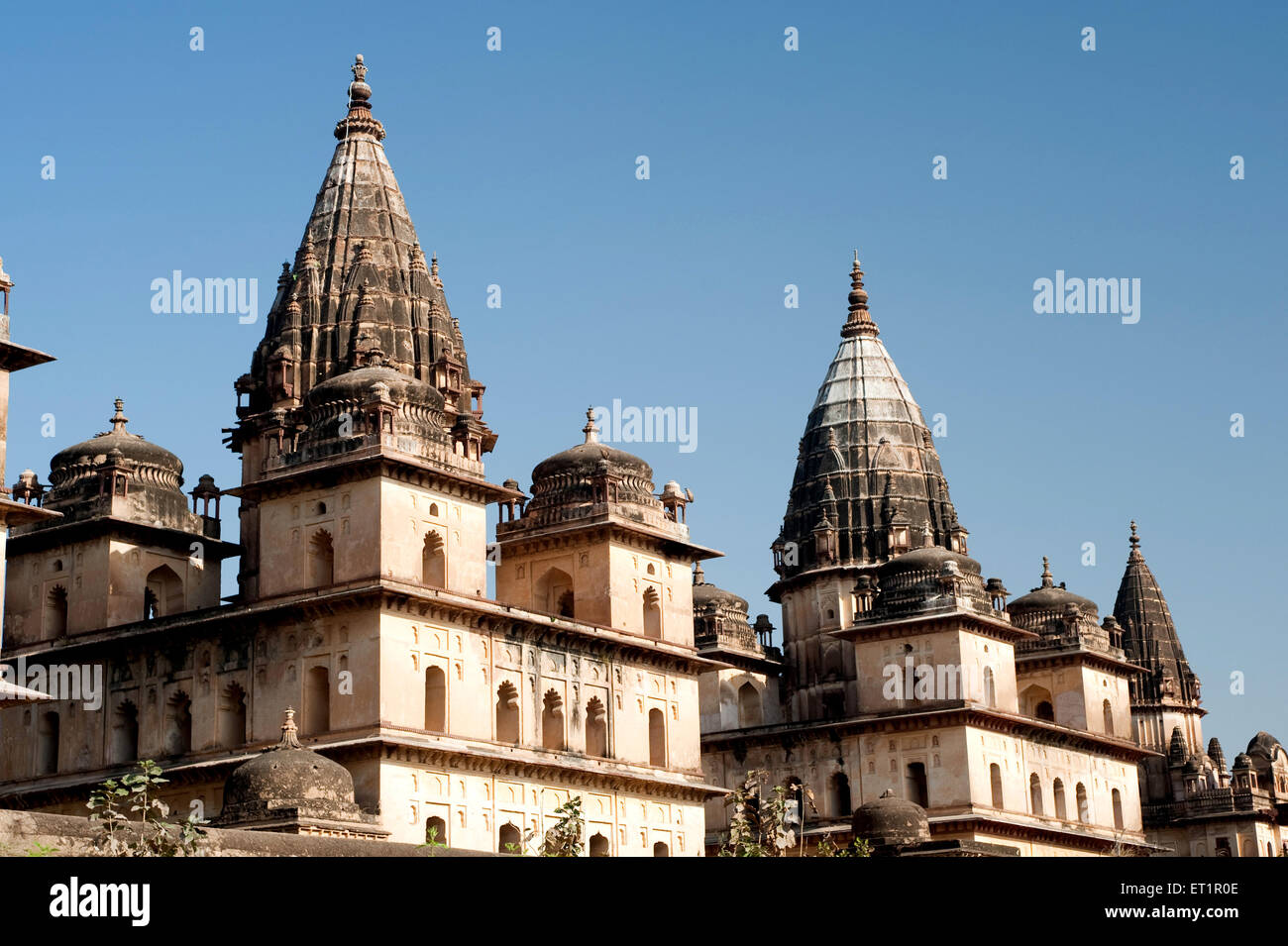 Cenotaphs of rulers ; Orchha ; Tikamgarh ; Madhya Pradesh ; India Stock Photo