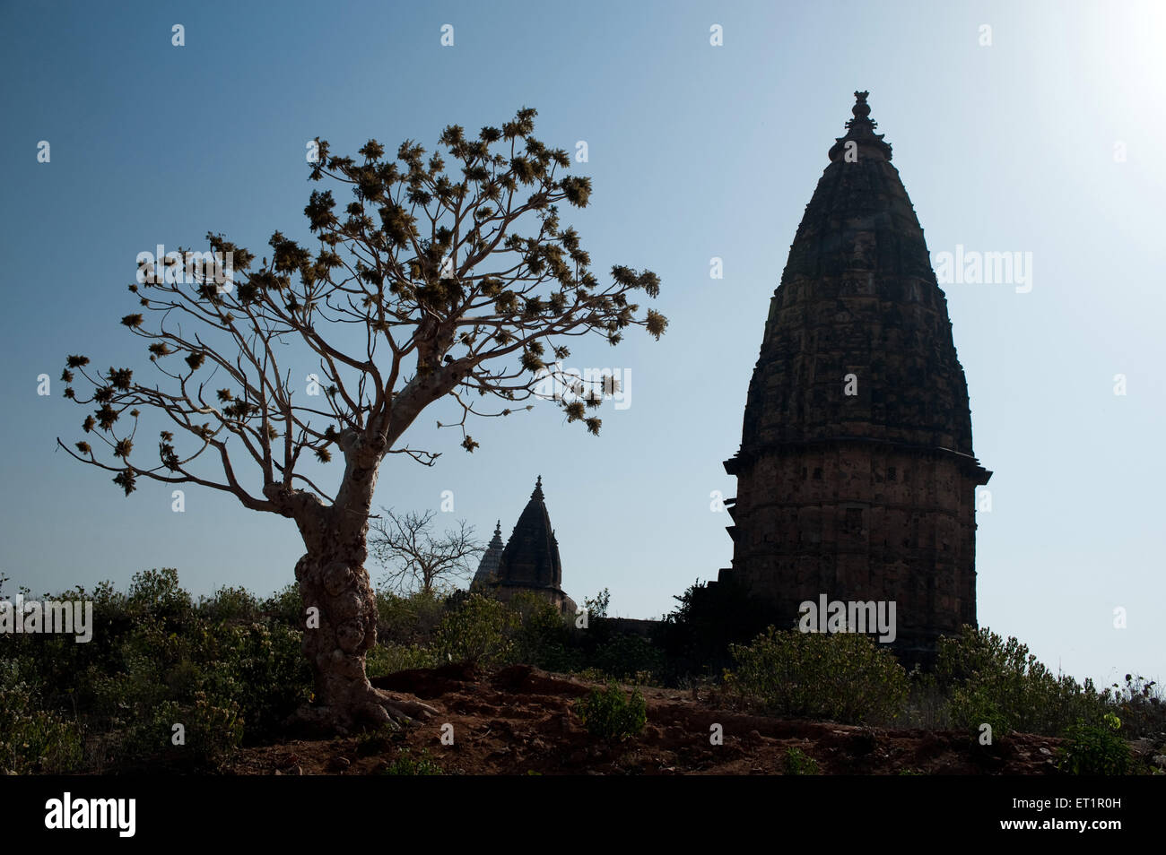Temples at Orchha ; Tikamgarh ; Madhya Pradesh ; India Stock Photo