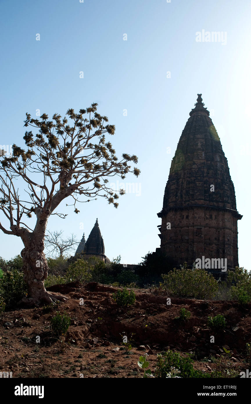 Temples at Orchha ; Tikamgarh ; Madhya Pradesh ; India Stock Photo
