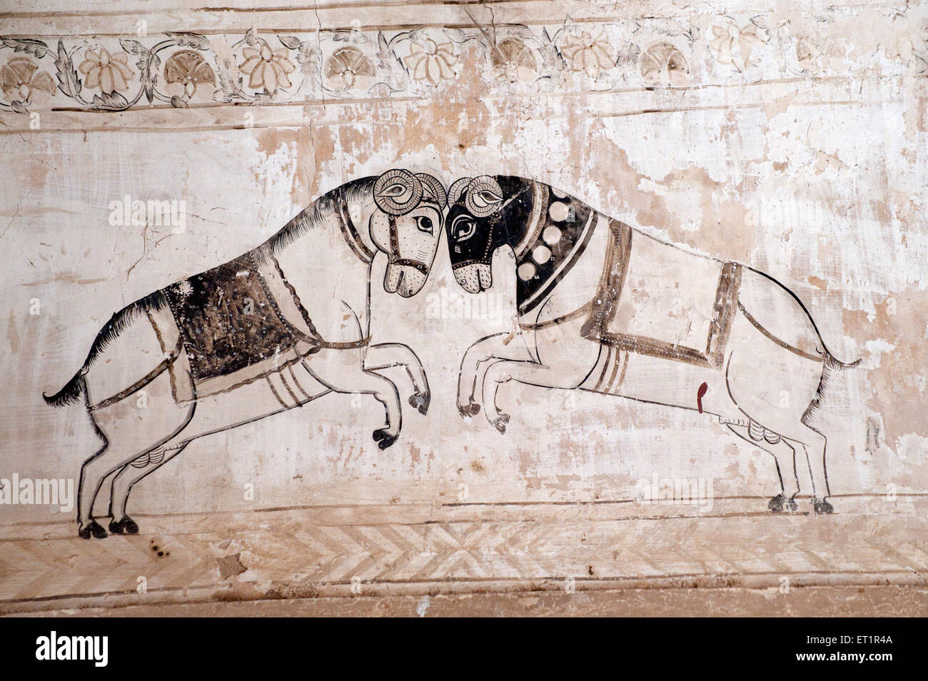 Wall paintings mural of horses fighting at Lakshminarayan temple ; Orchha ; Tikamgarh ; Madhya Pradesh ; India Stock Photo