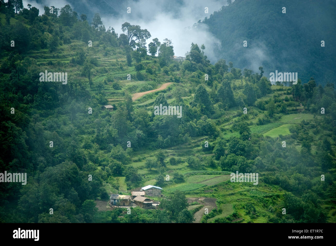 Terrace Farming Narayan Ashram Pithoragarh Kumaon Uttarakhand