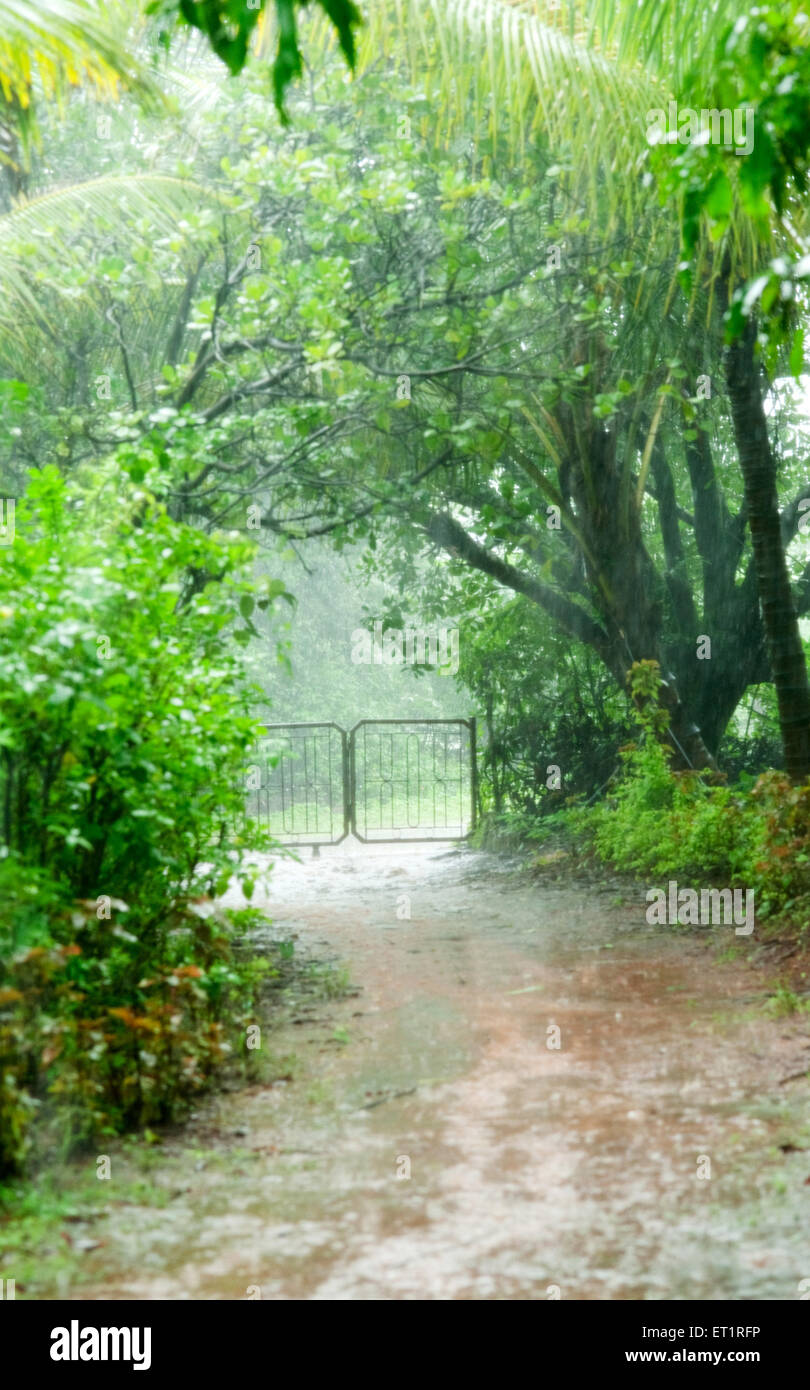 Monsoon season raining , Konkan , Maharashtra , India Stock Photo