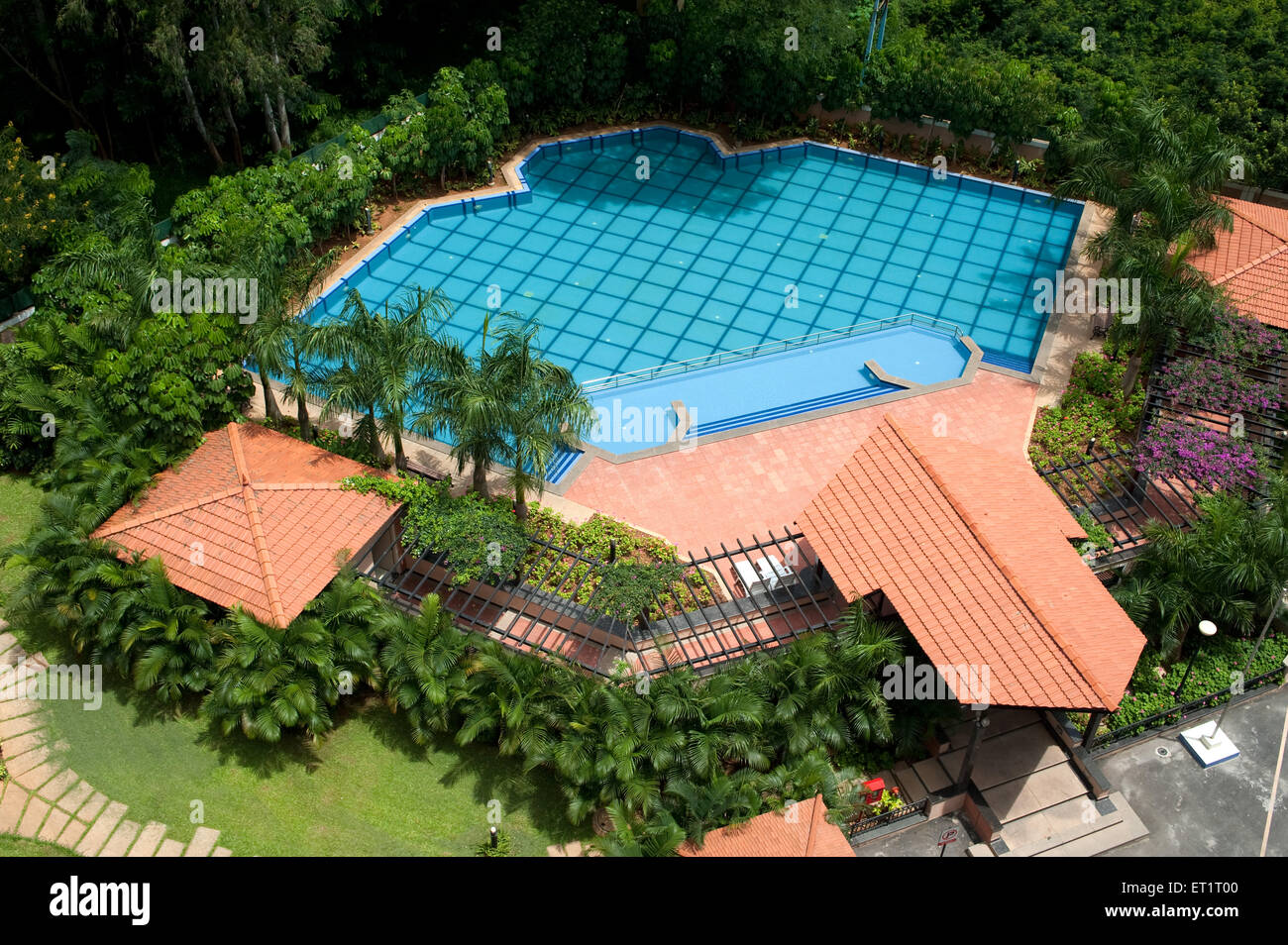 Swimming pool, Bangalore, Bengaluru, Karnataka, India, Asia, Asian, Indian Stock Photo