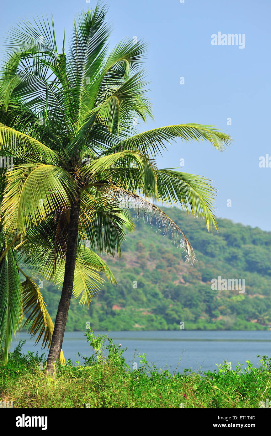 Maharashtra High Resolution Stock Photography and Images Alamy