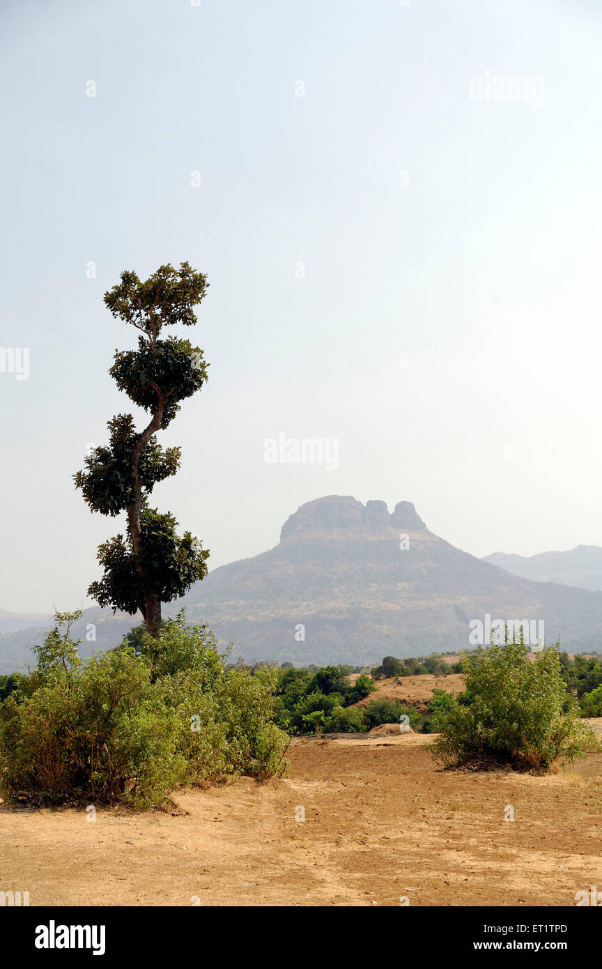 Asian landscape hi-res stock photography and images - Alamy
