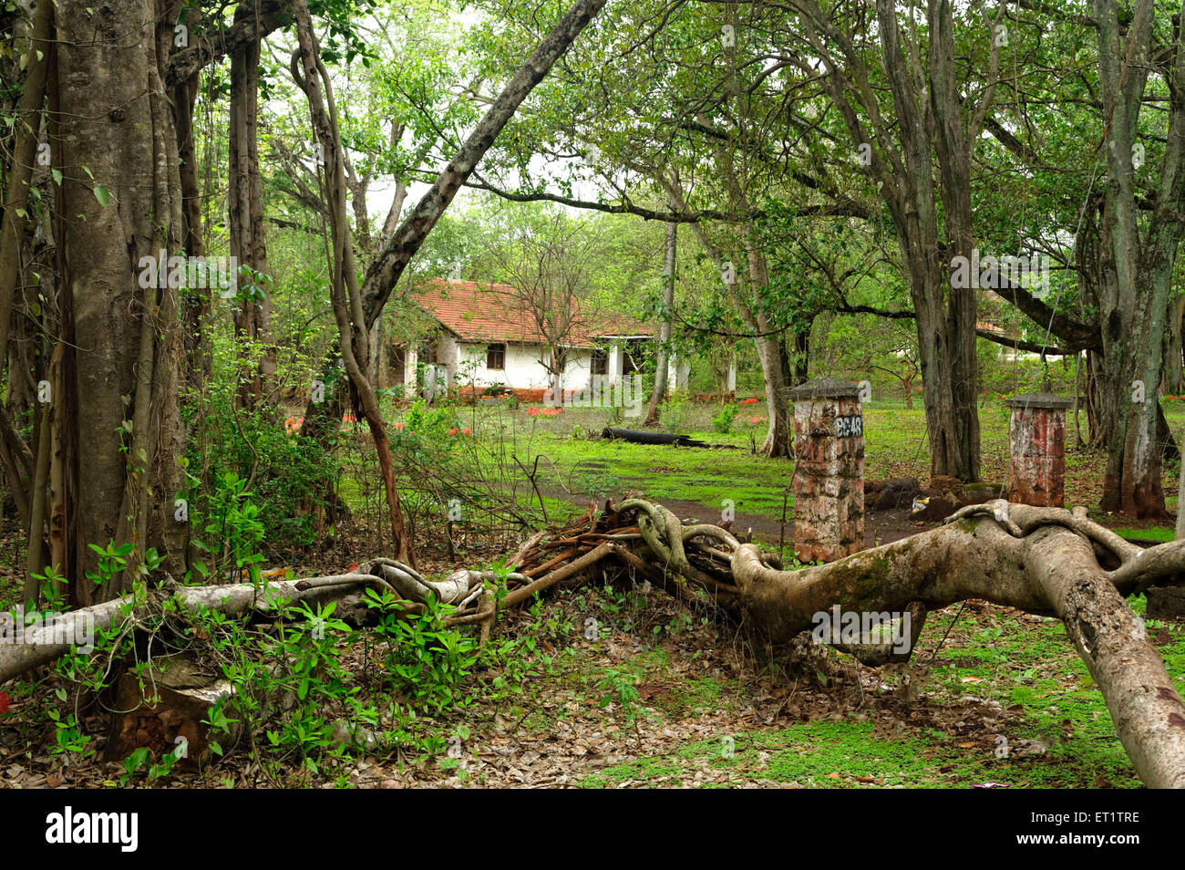 Old bungalow in belgaum at karnataka india Asia Stock Photo