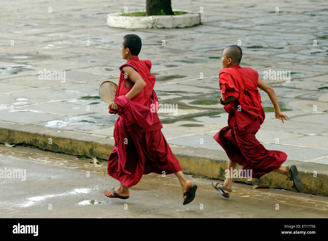 Monks Running at Shar Gaden in Mundgod at Karnataka India Asia Stock Photo