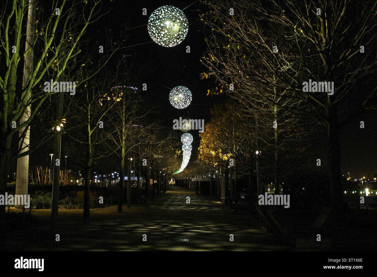 Olympic christmas trees