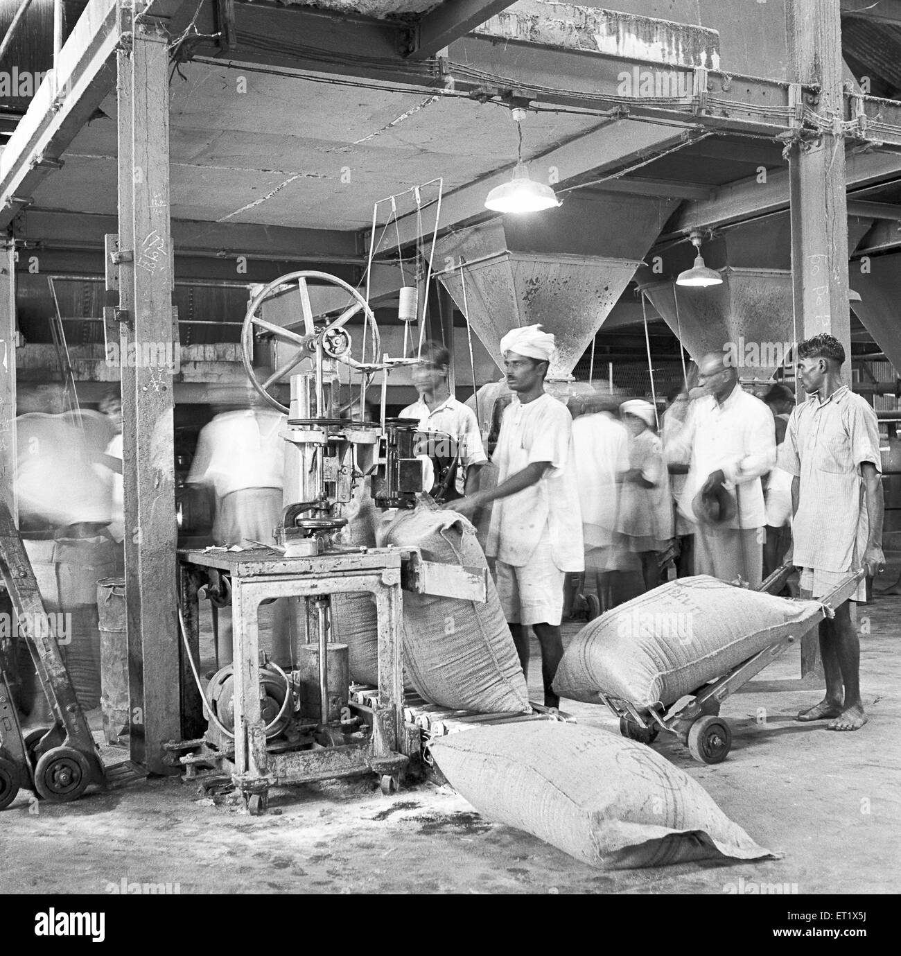 People working in sugar factory packing of jute sacks ; Mandya ; Mandya
