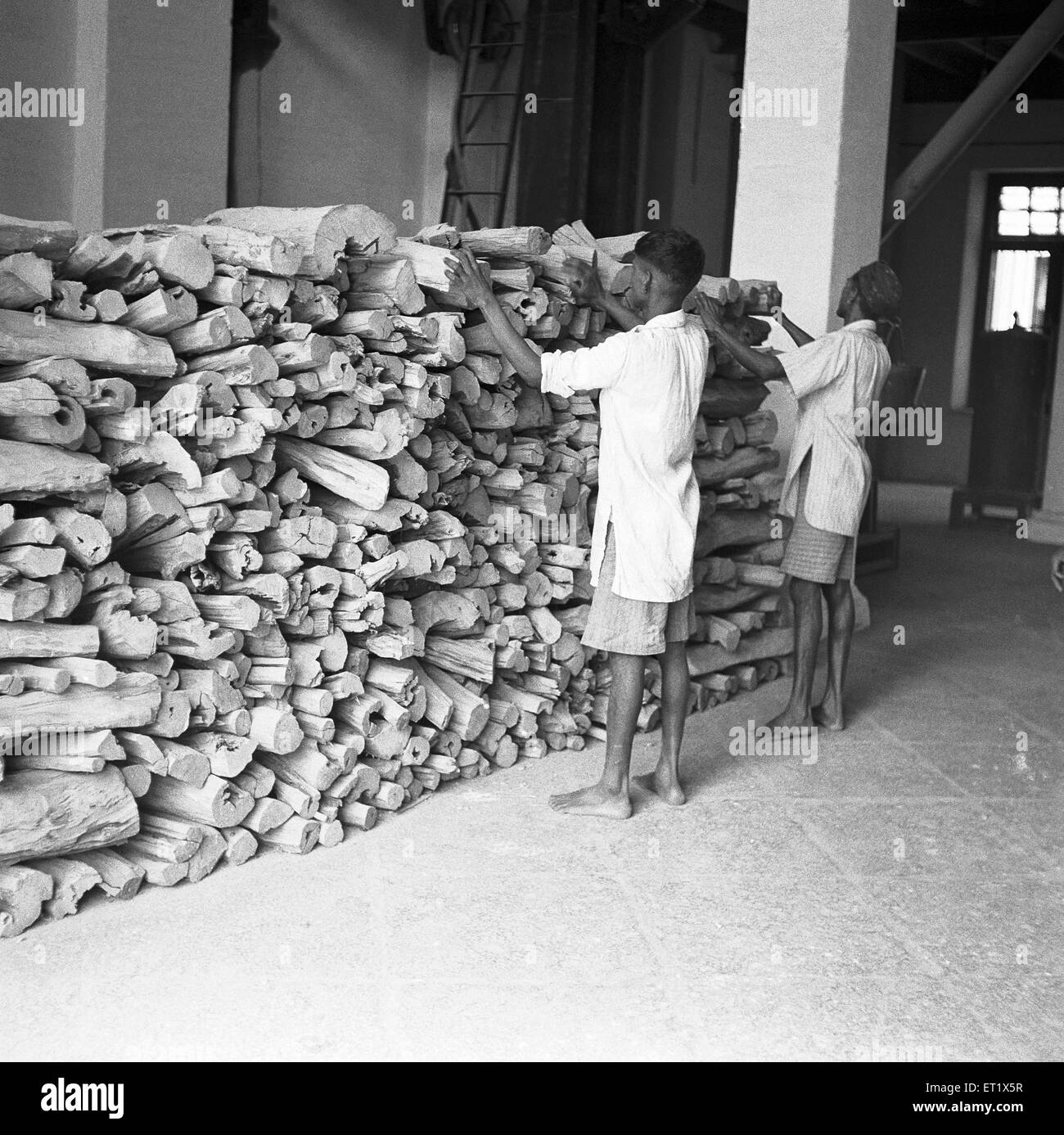 Year 1953 ; sandalwood being suitably dressed is stored distillery ; sandal oil extracting factory ; Mysore city ; Karnataka Stock Photo