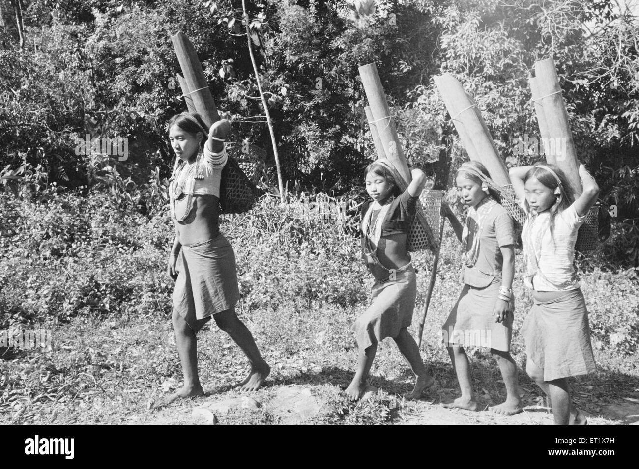 Wancho tribe girls fetching water in bamboo pipes ; Tirap District ; Arunachal Pradesh ; India ; Asia ; old vintage 1900s picture Stock Photo