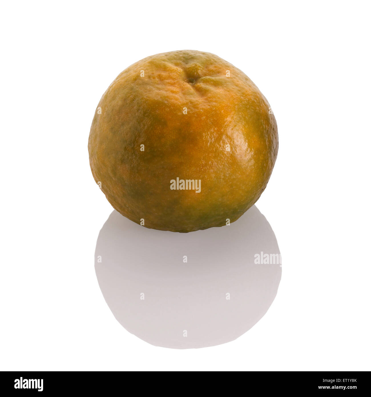 one orange fruit on white background Stock Photo