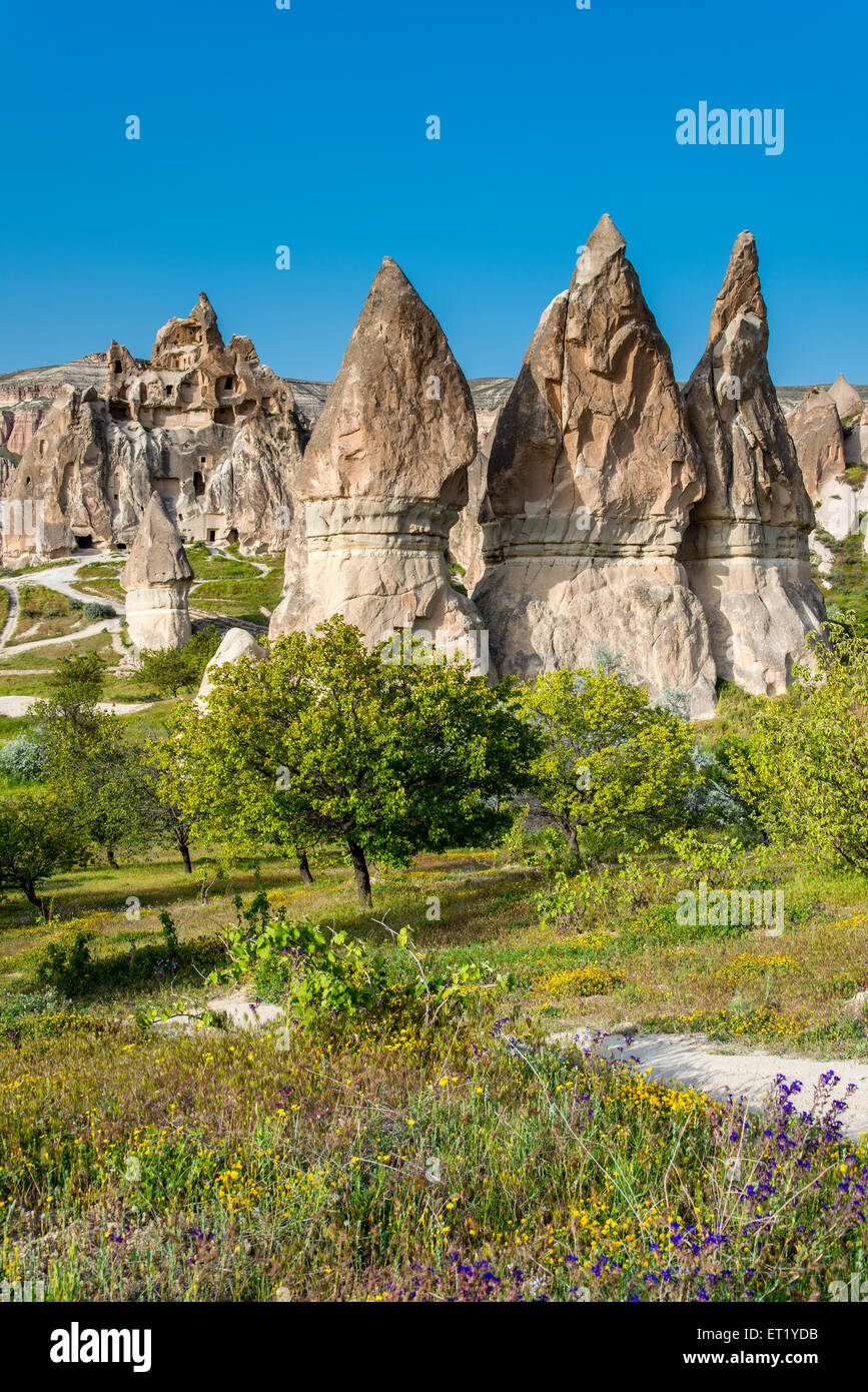 Cappadocia fairy chimneys hi-res stock photography and images - Alamy