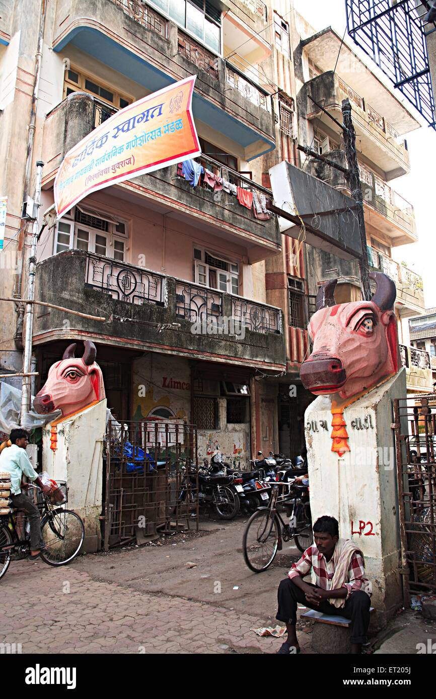 Metro cycle charni 2024 road