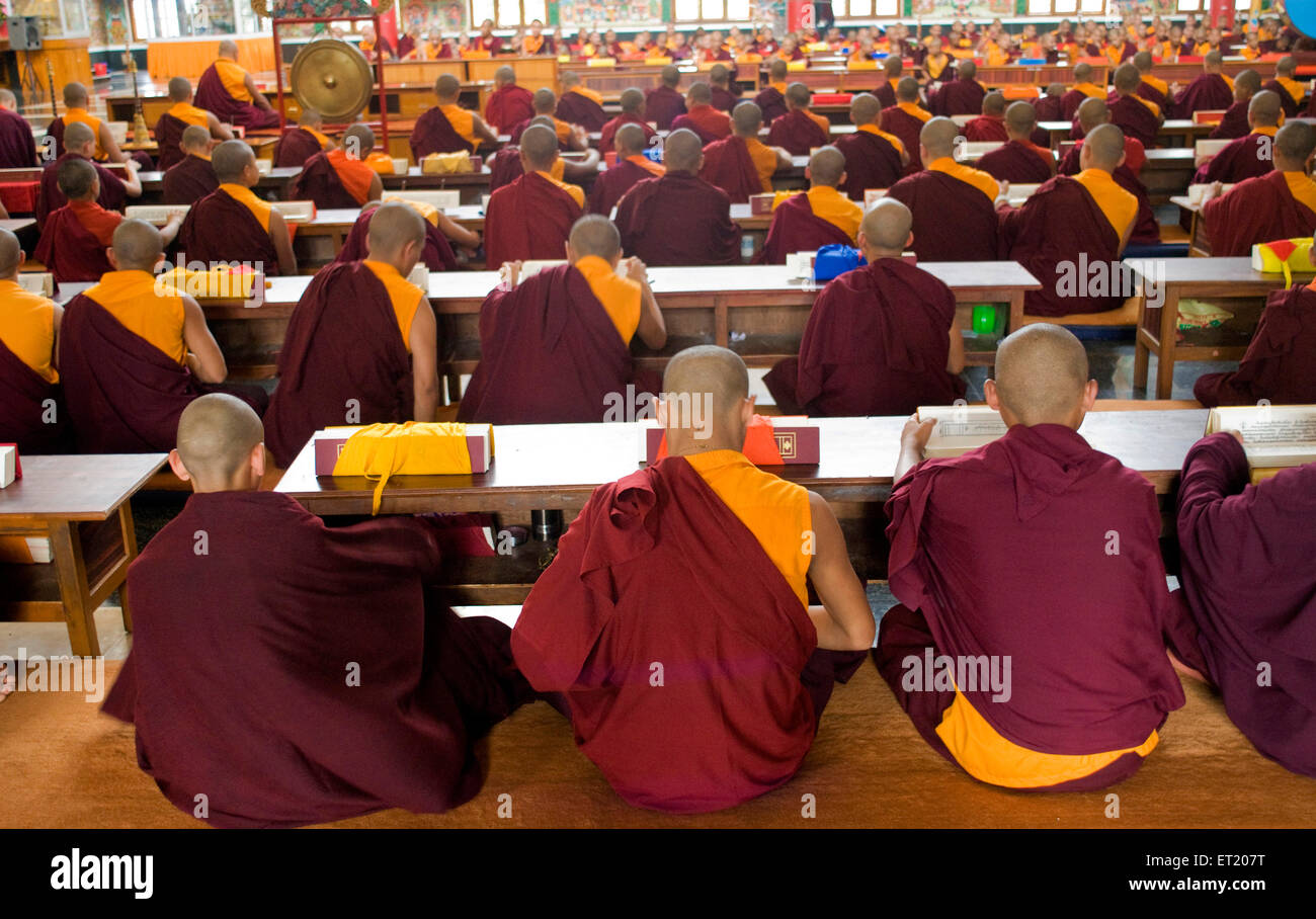 Monks studying scriptures, Namdroling Monastery, Namdroling Nyingmapa Monastery,  Bylakuppe, Mysore, Mysuru, Karnataka, India, Asia Stock Photo