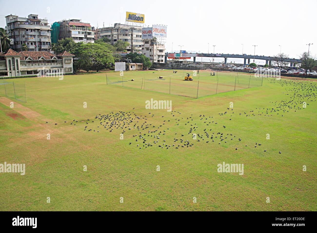 Parsi Gymkhana Club ; play ground ; Marine Lines ; Bombay ; Mumbai