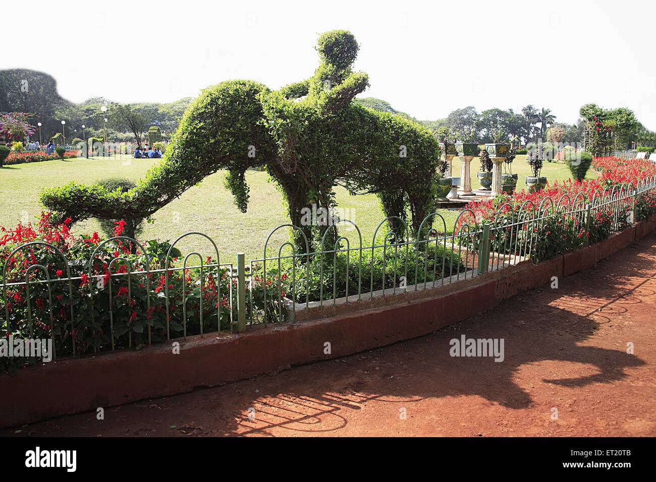 Green grass elephant, Hanging Garden, Malabar Hill, Grant Road, Bombay, Mumbai, Maharashtra, India, Asia, Asian, Indian Stock Photo