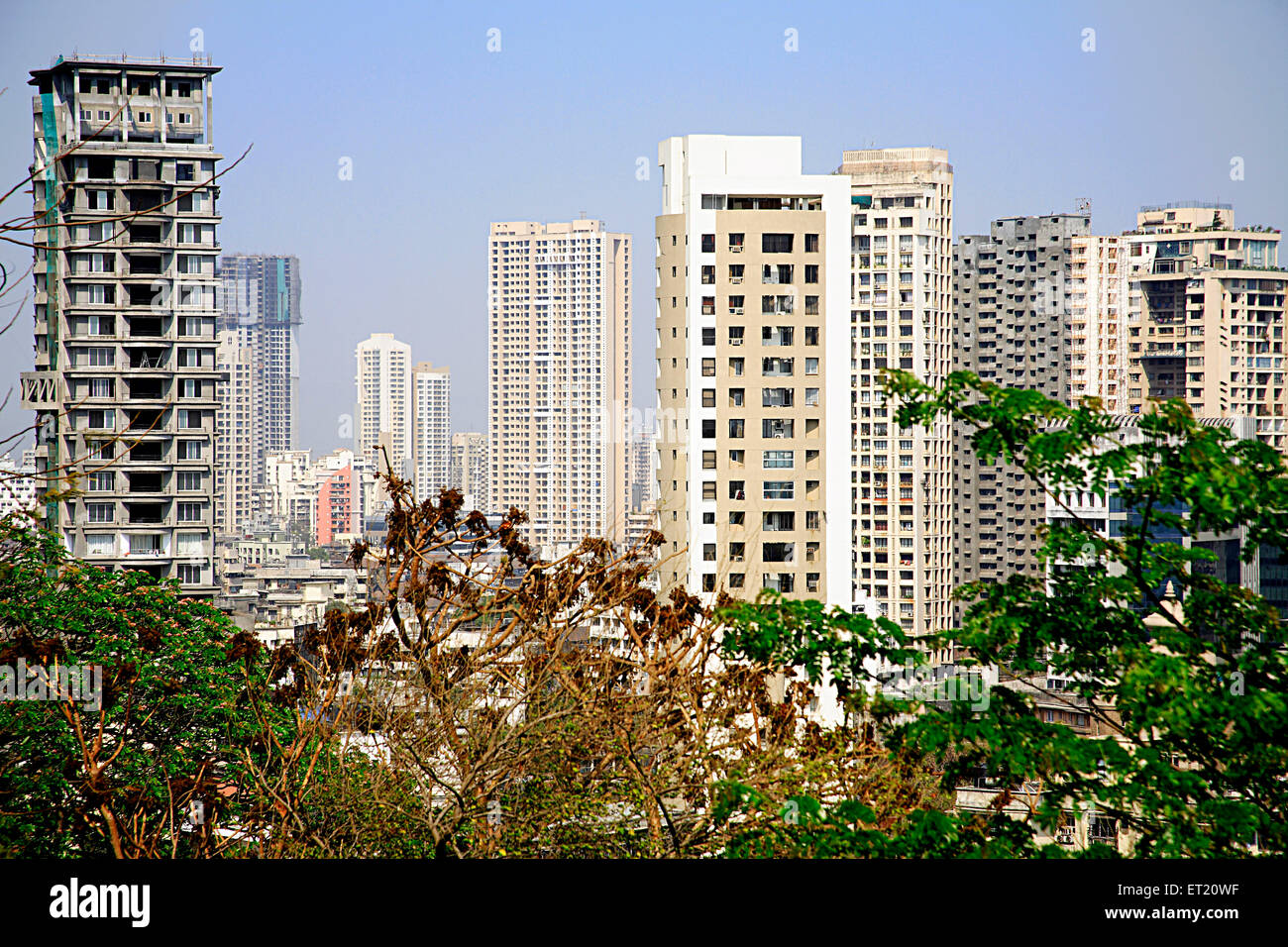 Bombay skyline and skyscraper ; Bombay Mumbai ; Maharashtra ; India Stock Photo