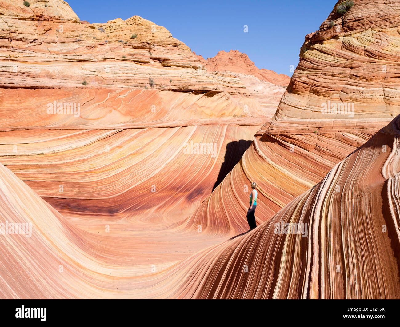 Scene From The North Coyote Buttes Area Known As The Wave Vermillion scene-from-the-north-coyote-buttes-area-known-as-the-wave-vermillion