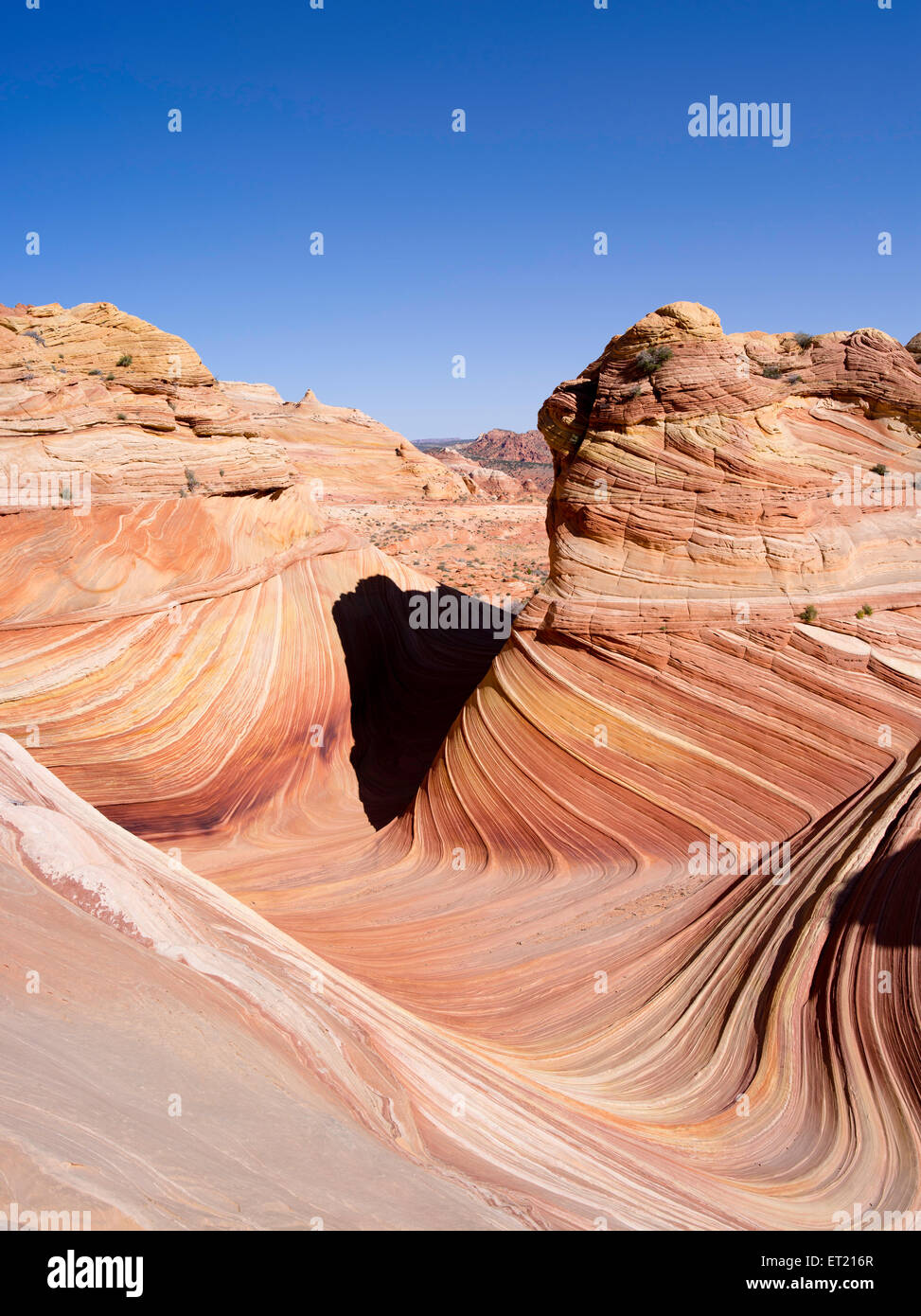 Scene From The North Coyote Buttes Area Known As The Wave Vermillion scene-from-the-north-coyote-buttes-area-known-as-the-wave-vermillion