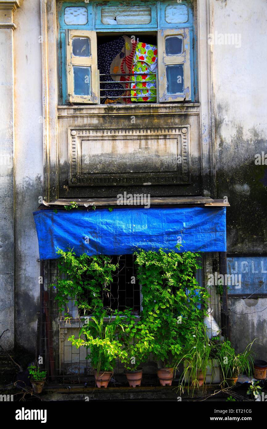 Chawl ; Lower Parel ; Bombay Mumbai ; Maharashtra ; India 26 August 2009 Stock Photo