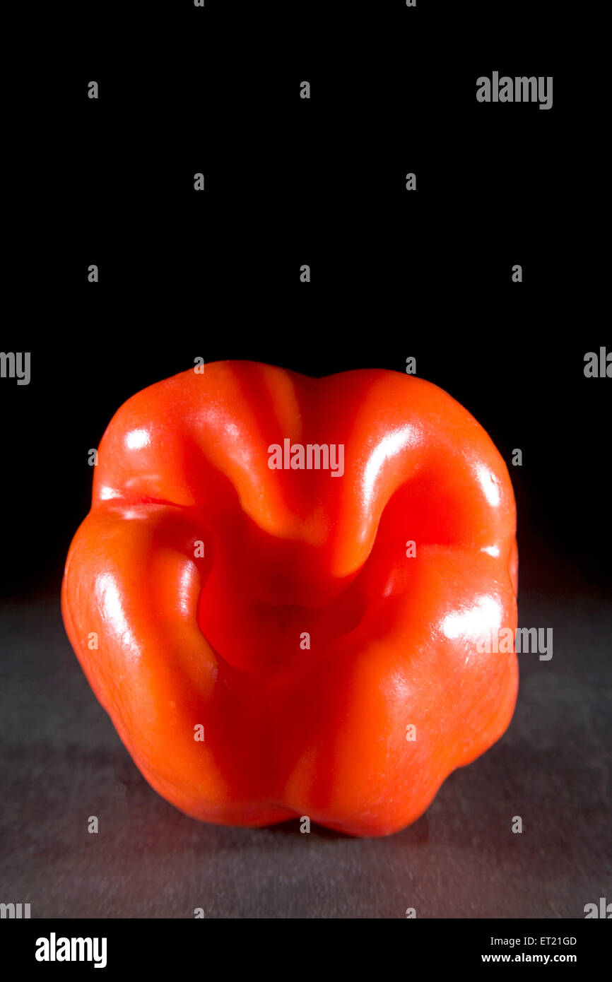 Spices ; capsicum shimla mirch capsicum annuum capsicum frutescens on black background 30 March 2010 Stock Photo