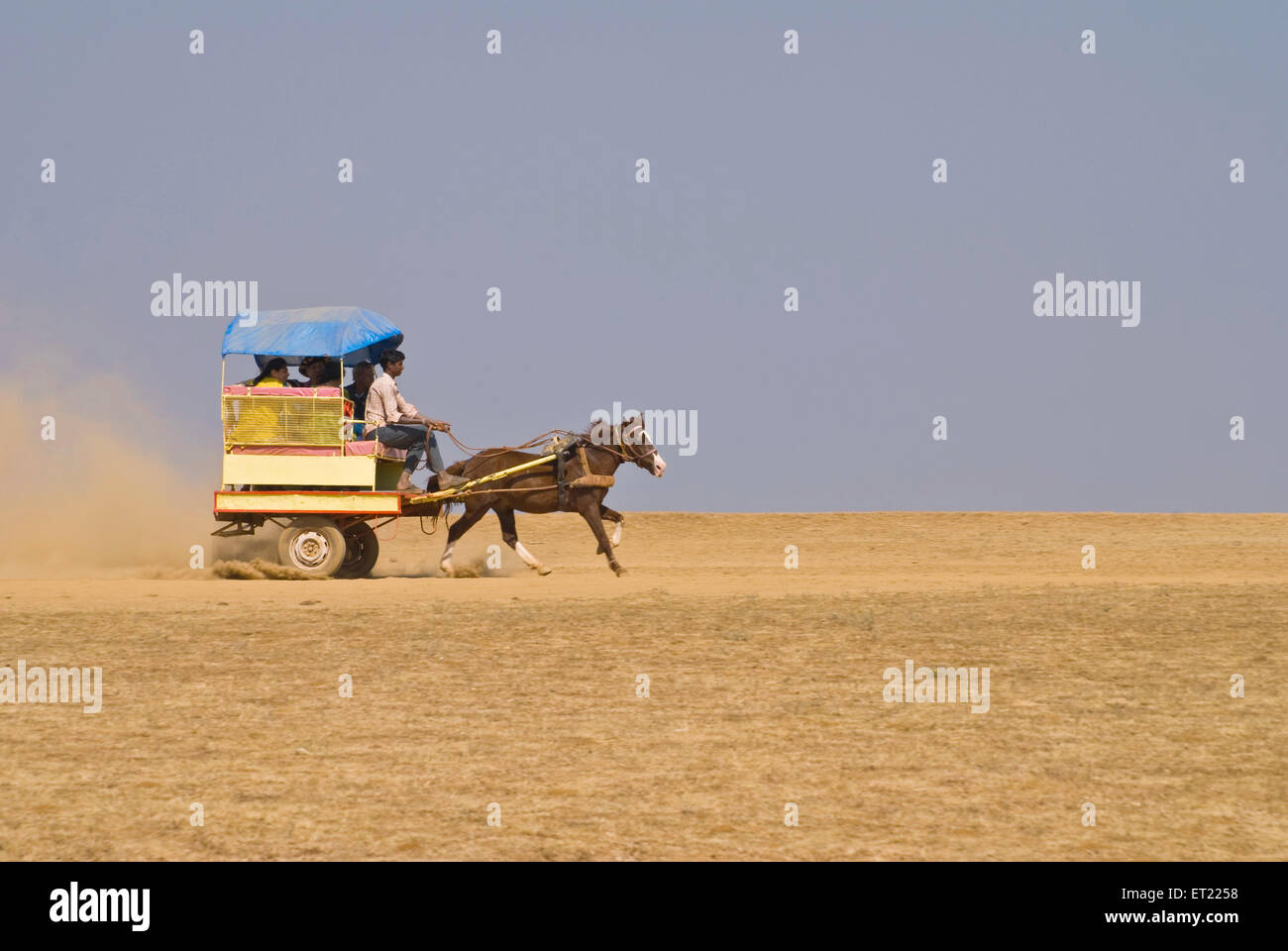 Horse cart ride on Table land ; Panchgani ; District Satara ; Maharashtra ; India 2008 Stock Photo