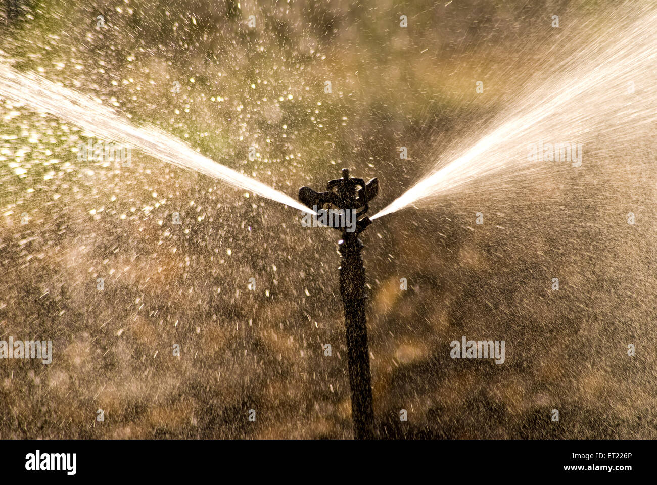 Sprinkler Irrigation High Resolution Stock Photography and Images - Alamy