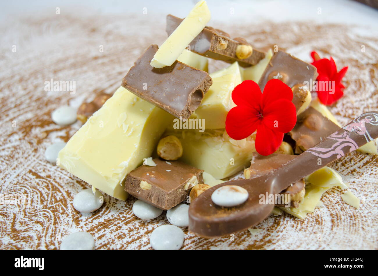 Whole hazelnut in milk chocolate and nut croquante hi-res stock photography  and images - Alamy