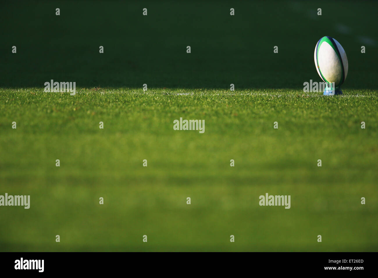 Rugby ball on grass Stock Photo Alamy