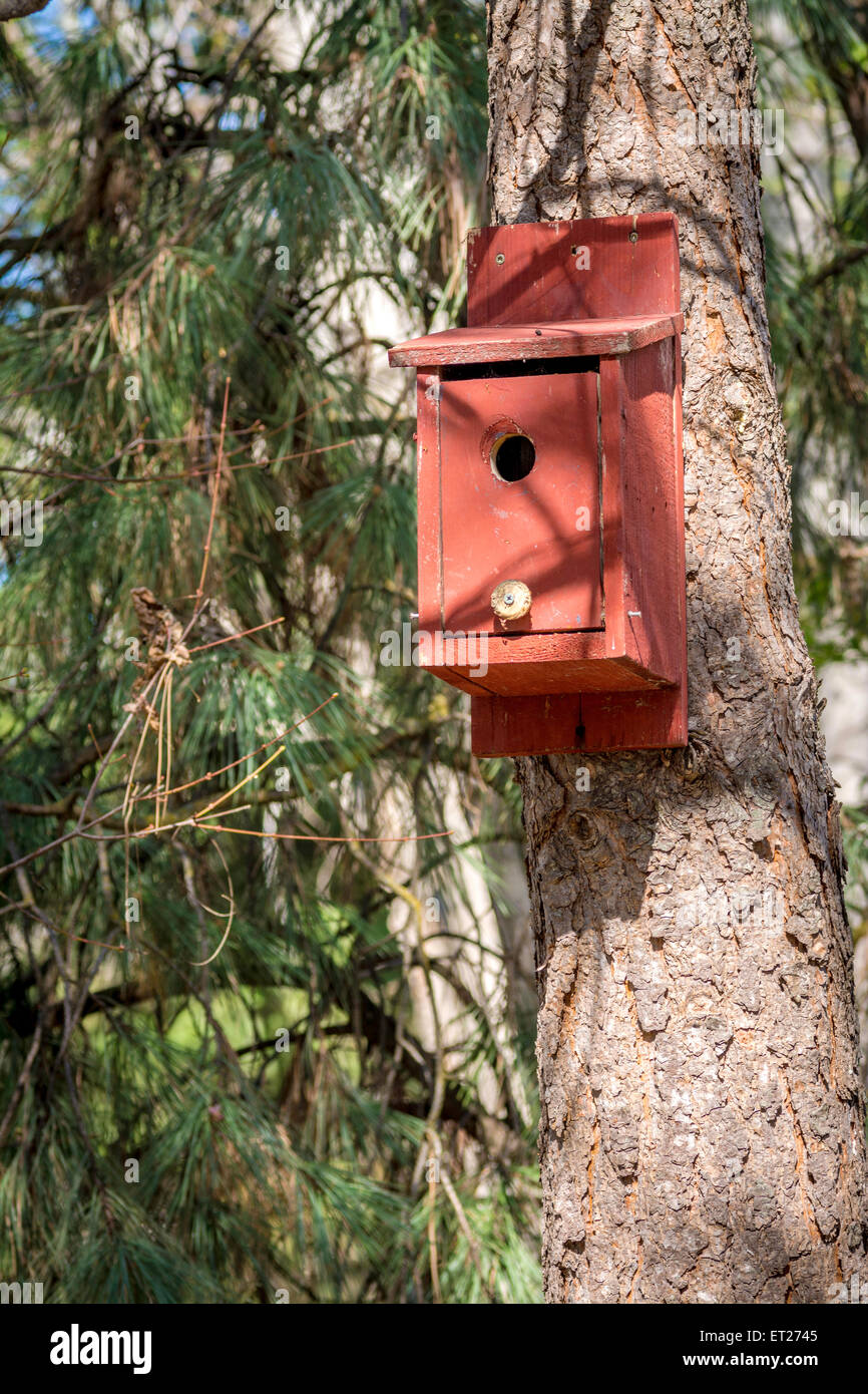 Red bird house mounted on a tree Stock Photo