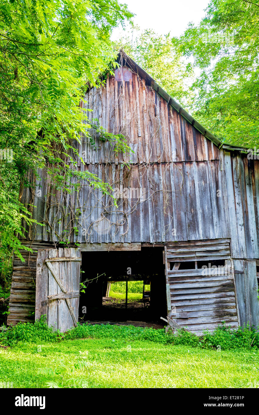 Moonshiners barn in the woods of Alabama Stock Photo
