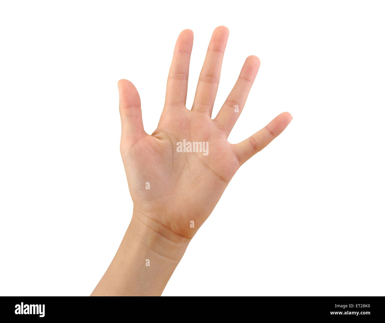 Girl hand showing five fingers isolated on a white background. Number 5 Stock Photo