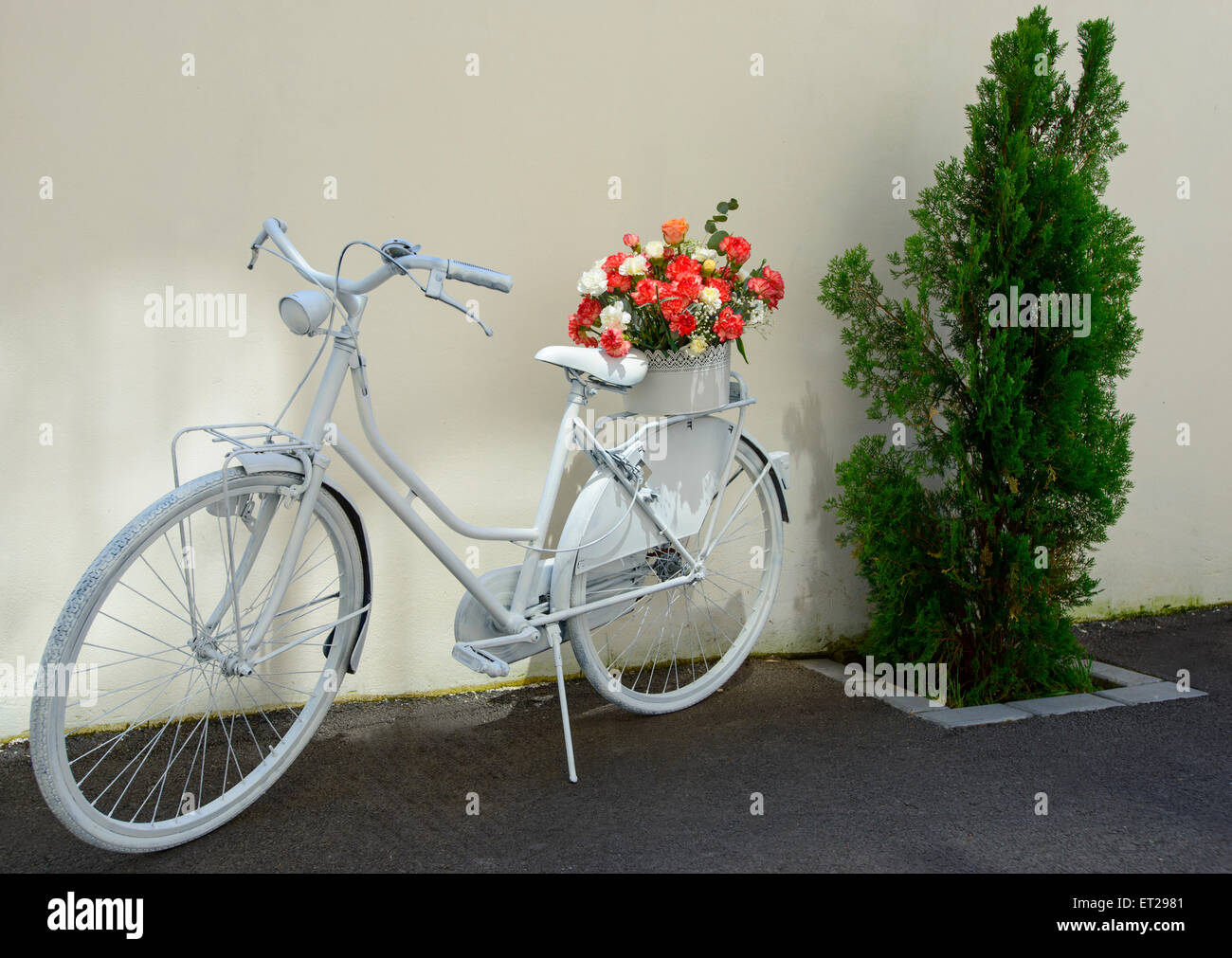 ladies bicycle with flowers decoration outdoor bike Stock Photo