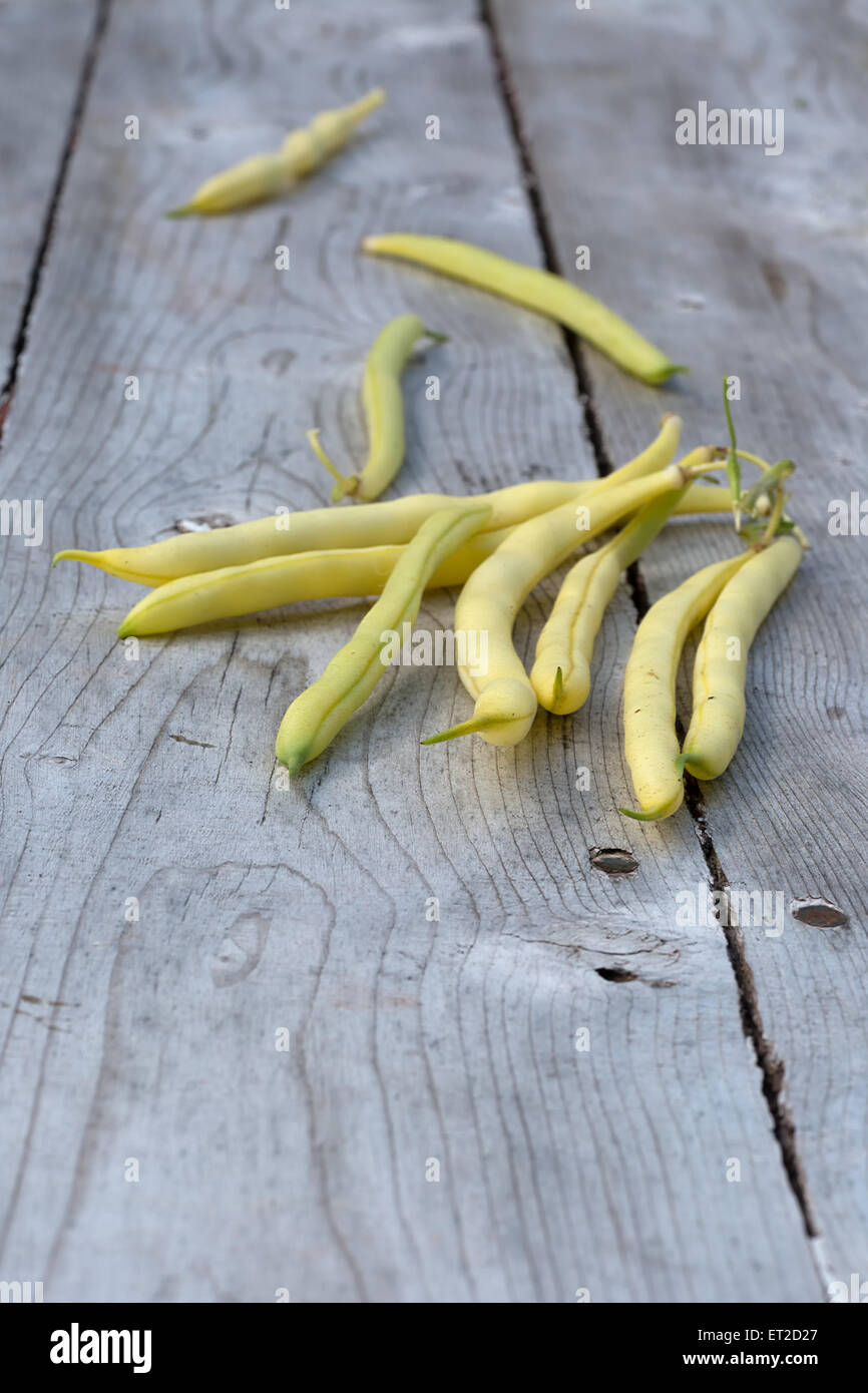 Freshly picked yellow beans from the garden. Stock Photo