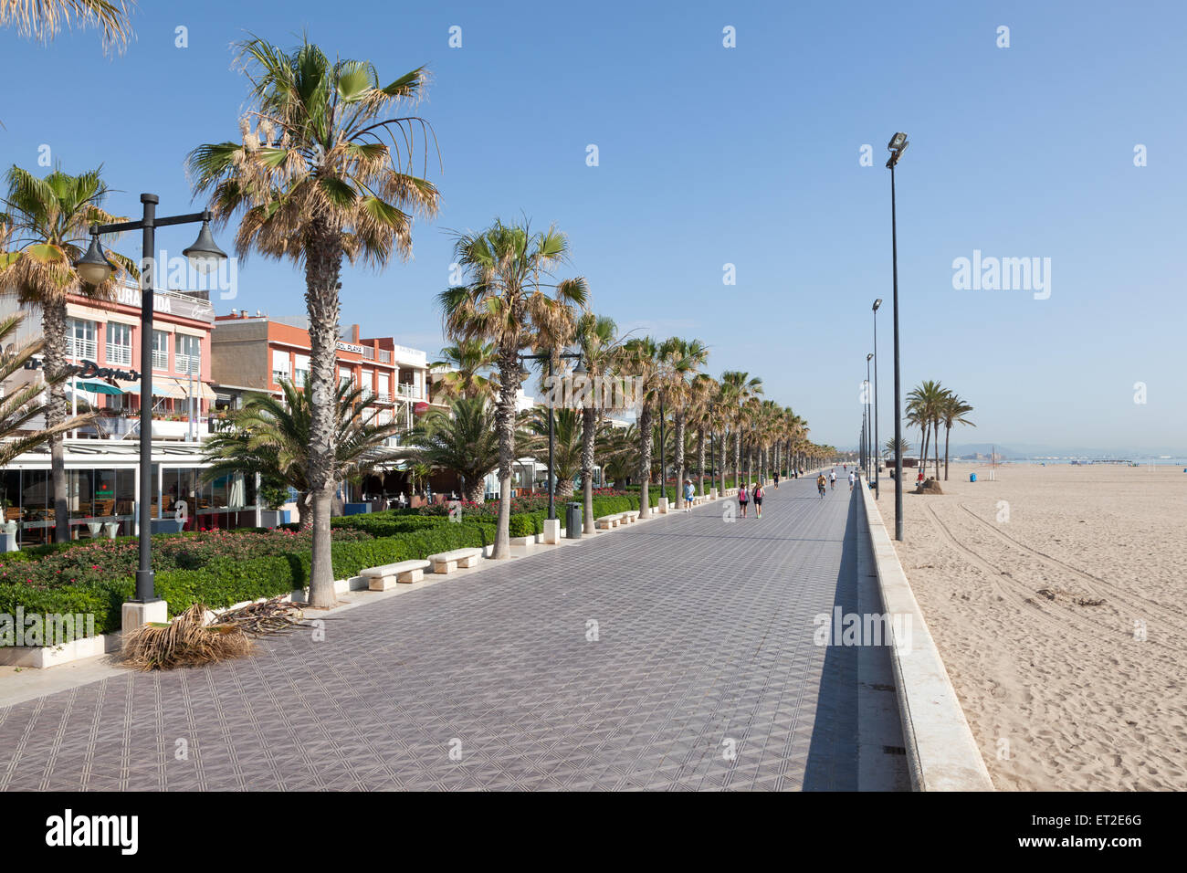 Beachfront promenade with date palm trees in Valencia, Spain Stock Photo