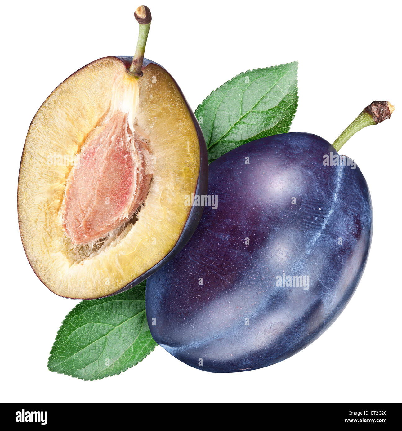 Plum and half of fruit on a white. File contains clipping paths. Stock Photo