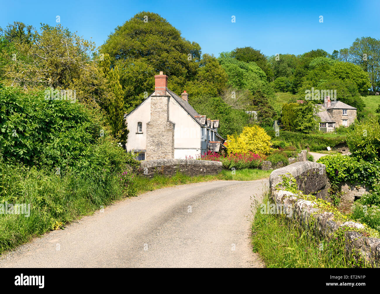 Cottages on a country lane at Couch's Mill near Lostwithiel in Cornwall Stock Photo