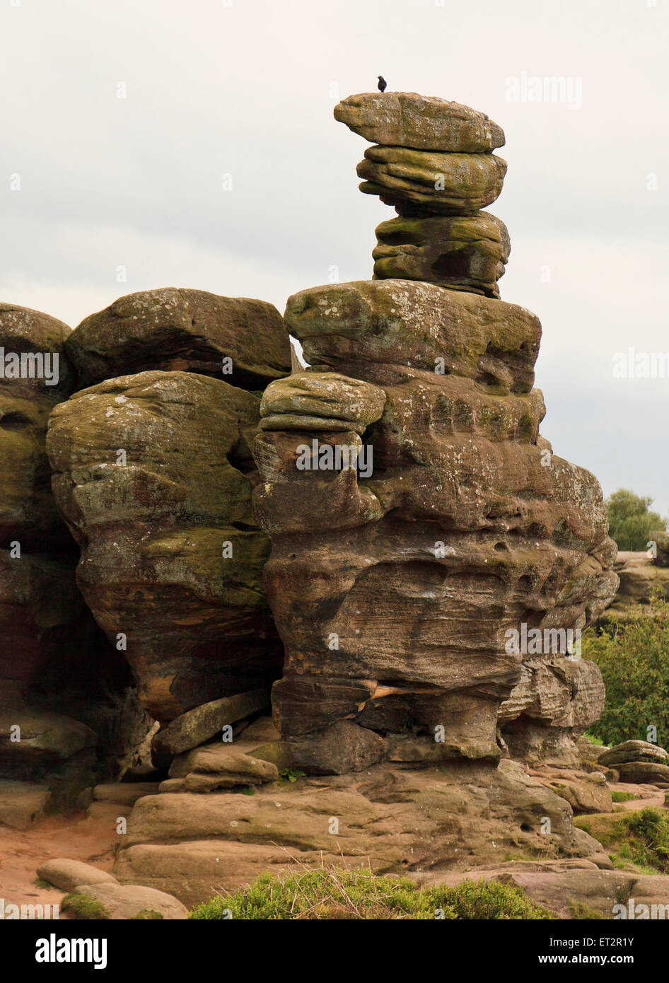 Brimn Rocks Brimham Rocks, Brimham Moor, a National Trust owned area in North ...