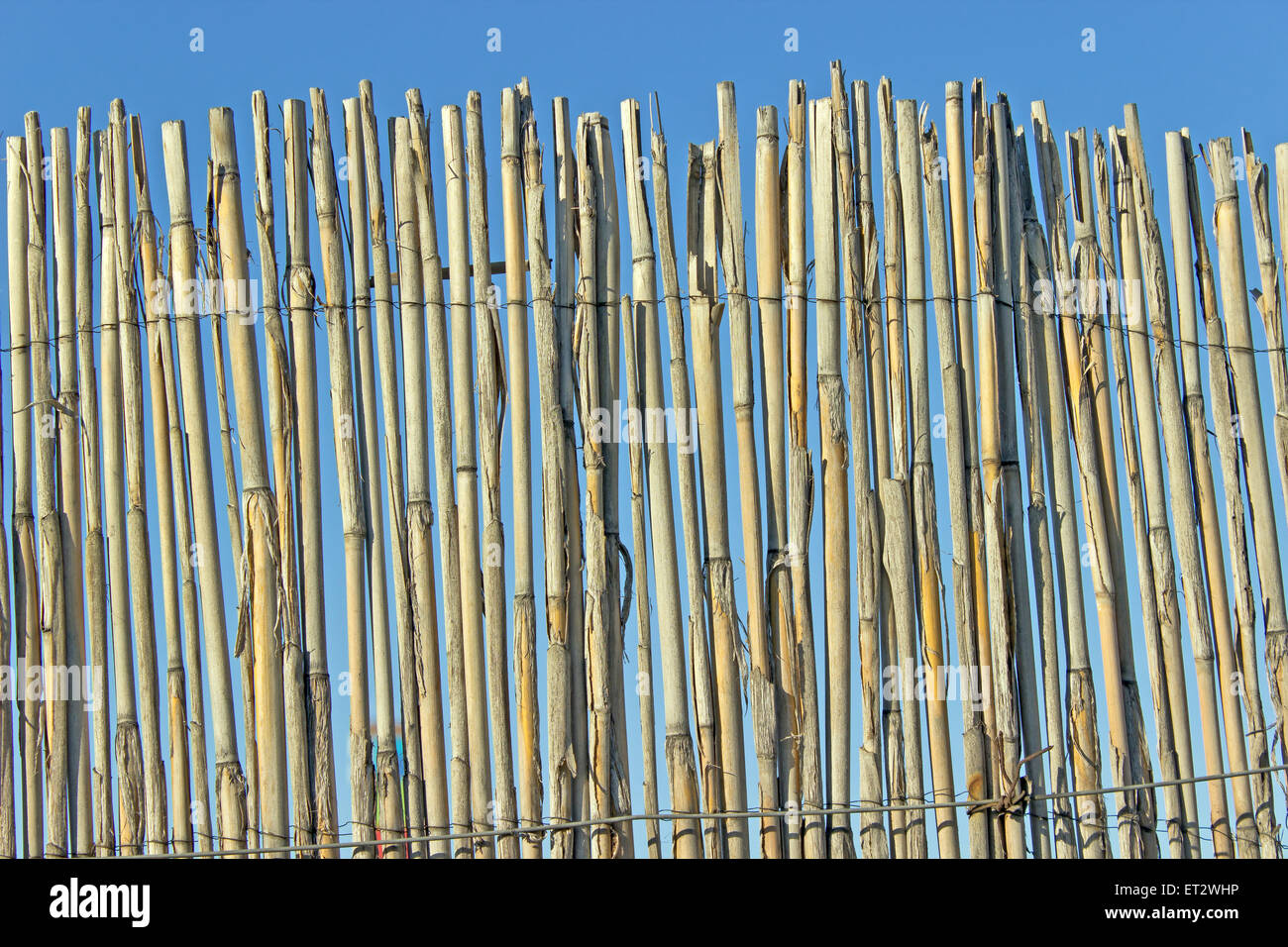 Old cane fence texture over blue sky Stock Photo