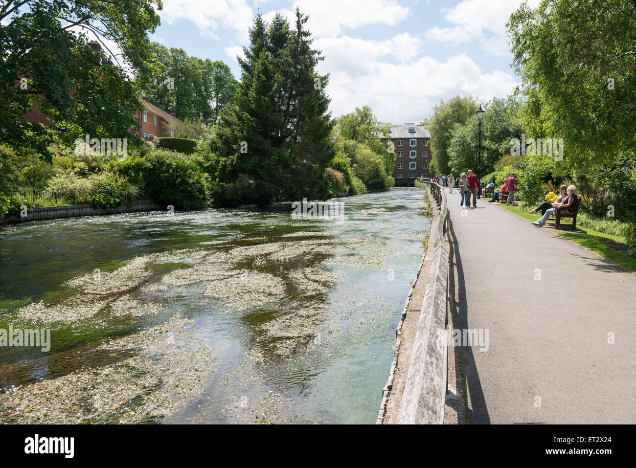 The River Itchen in Winchester in summer with people walking along the  riverside paths and gardens Stock Photo - Alamy