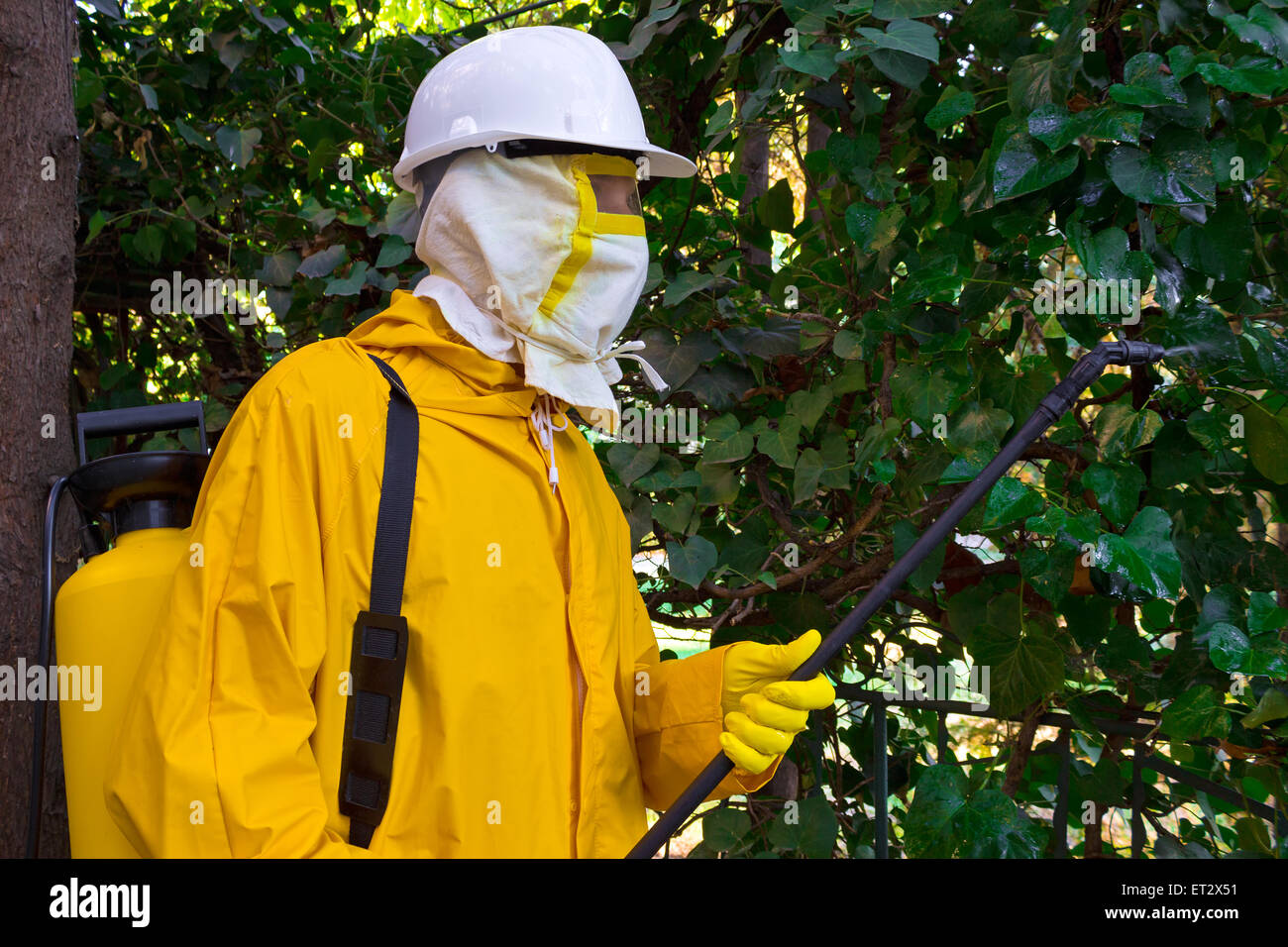 Pest control hires stock photography and images Alamy