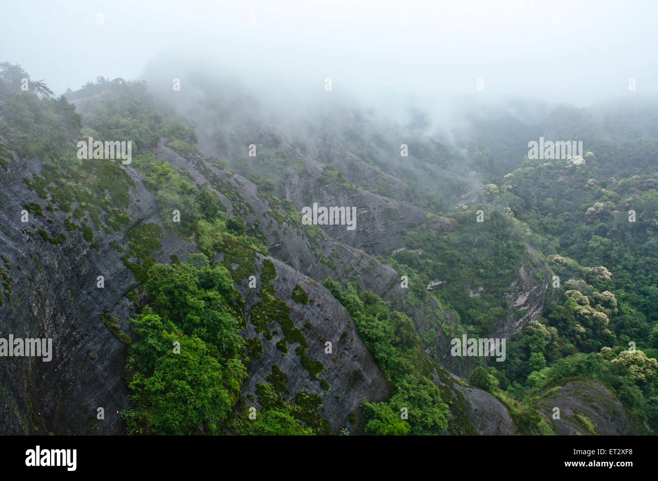 unusual Wuyi mountain peaks. Stock Photo