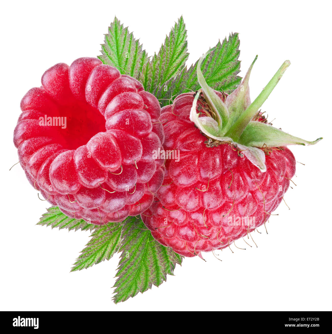 Raspberries with leaves. File contains clipping paths. Stock Photo