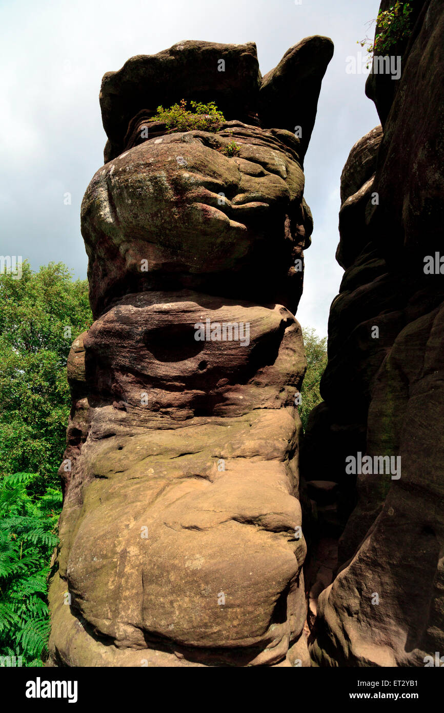 Brimn Rocks Brimham Rocks, Brimham Moor, a National Trust owned area in North ...