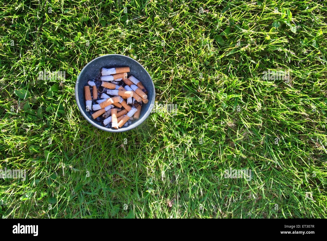 Ashtray in grass. Ashtray with cigarette stubs in fresh green grass aerial view. Stock Photo